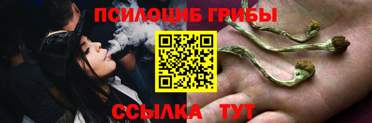 Псилоцибиновые грибы мухоморы Мыски